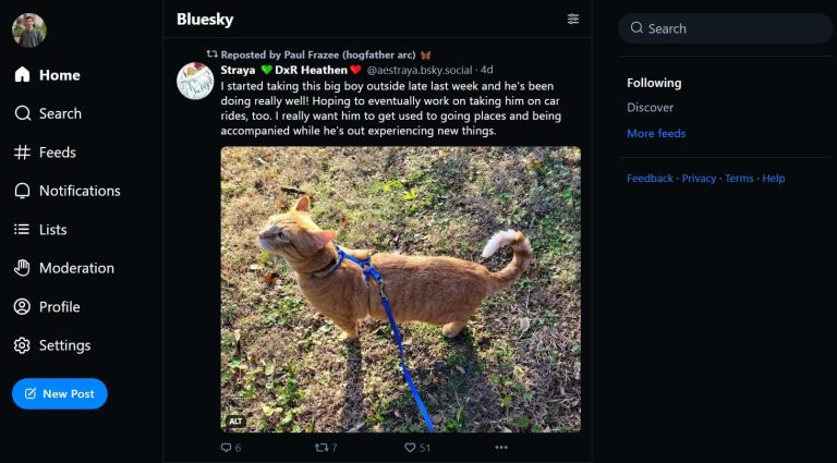 Bluesky vs. Mastodon: Which Twitter Alternative Should You Choose?