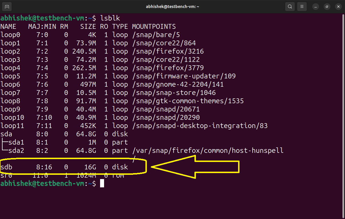 lsblk command to check disks in Linux